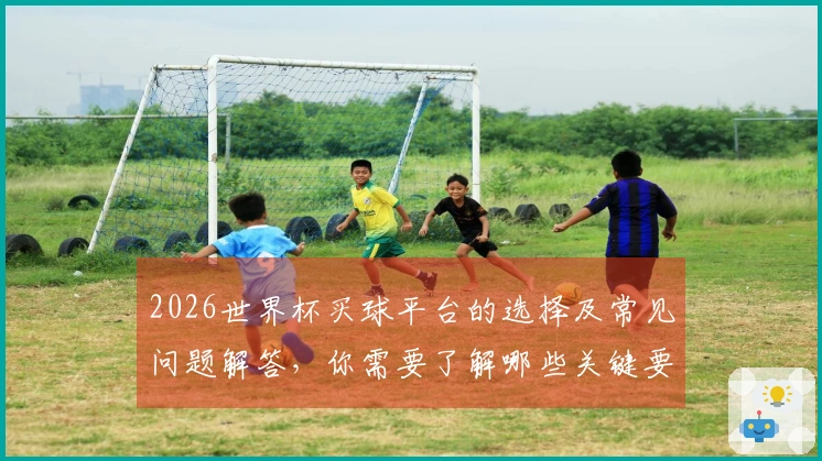2026世界杯买球平台的选择及常见问题解答，你需要了解哪些关键要素