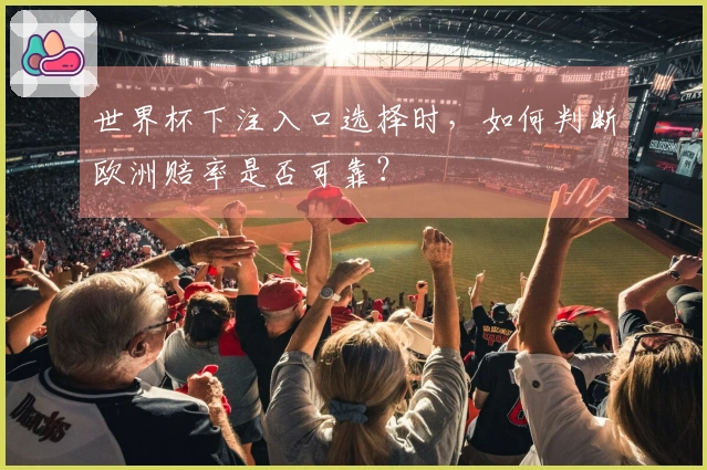 世界杯下注入口选择时，如何判断欧洲赔率是否可靠？