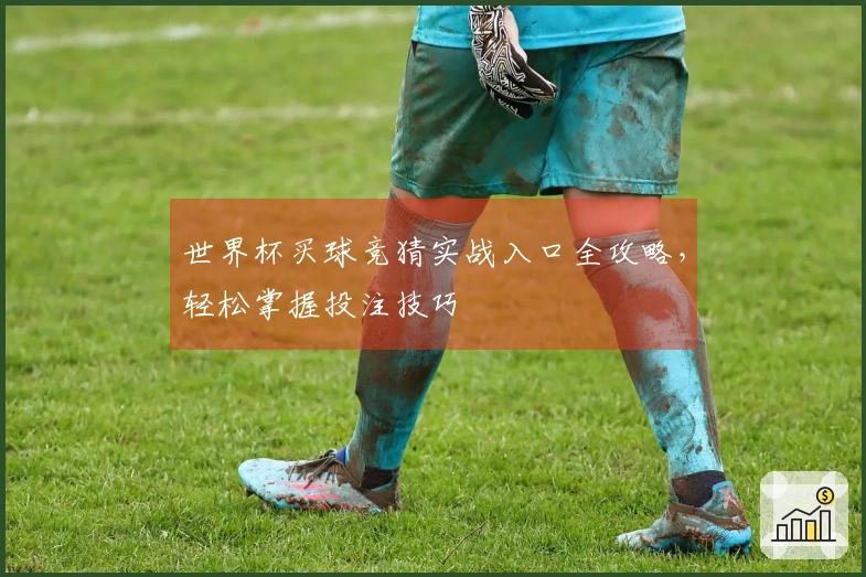 世界杯买球竞猜实战入口全攻略，轻松掌握投注技巧