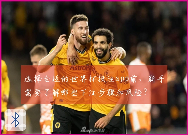 选择合适的世界杯投注app前，新手需要了解哪些下注步骤和风险？